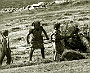 rrraccolta fieno